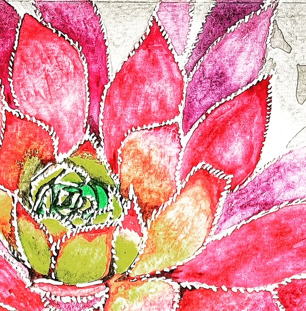 close up watercolour image of a plant